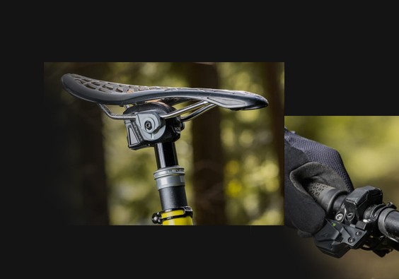 Bunner 1-1 Bunner 1-1